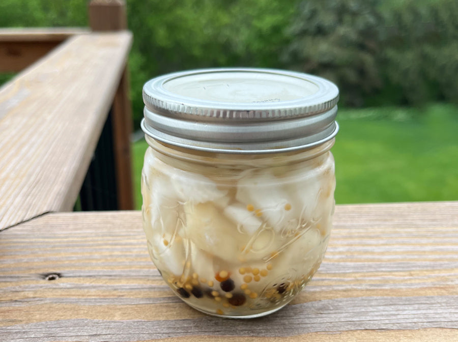 Pickled Pike Recipe: A Northern Midwest Tradition