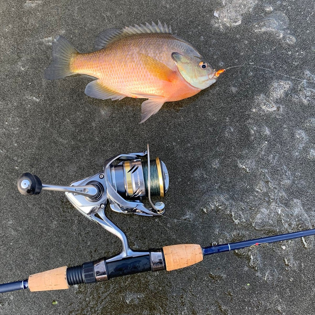 Celsius ice fishing