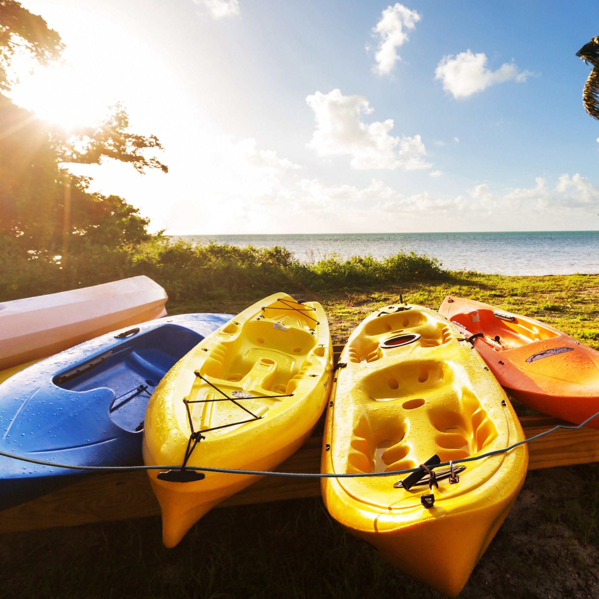 Kayaks secured with Propel Paddle locking cable