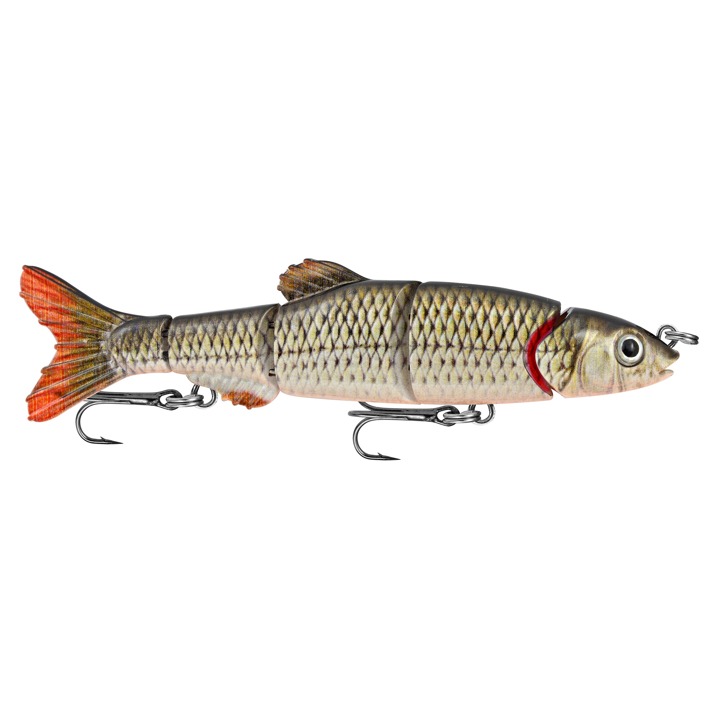 Doragon Minnow