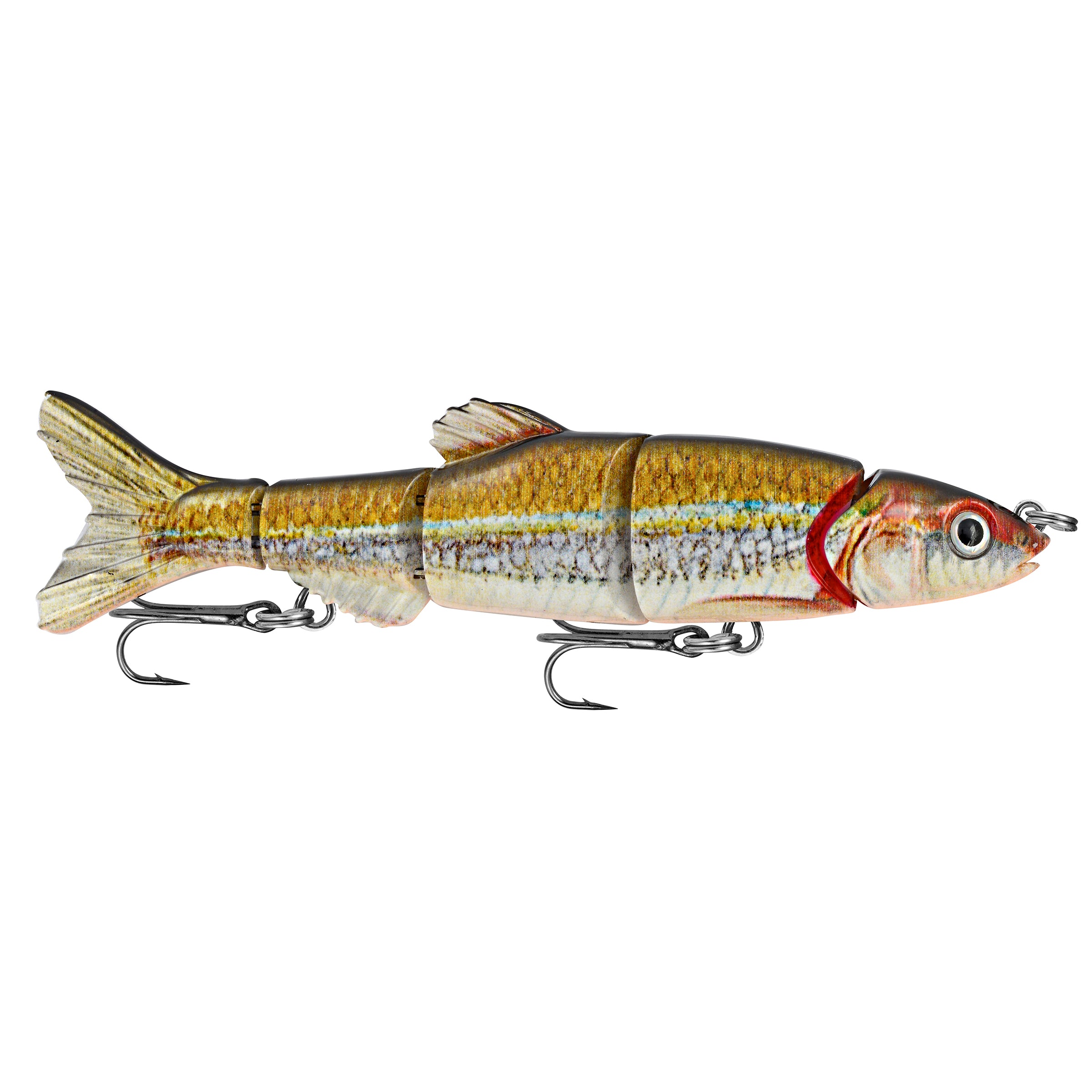 Doragon Minnow