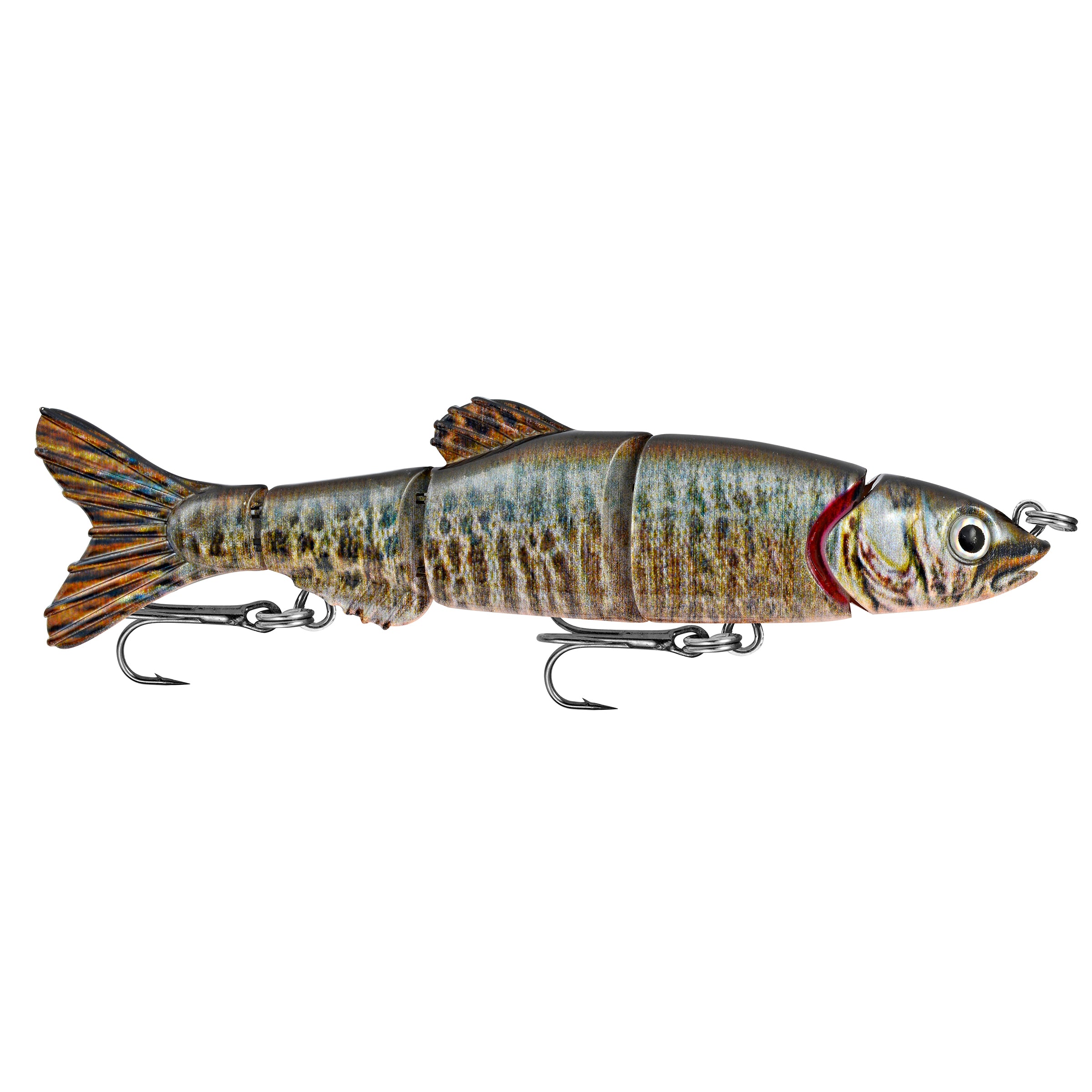 Doragon Minnow