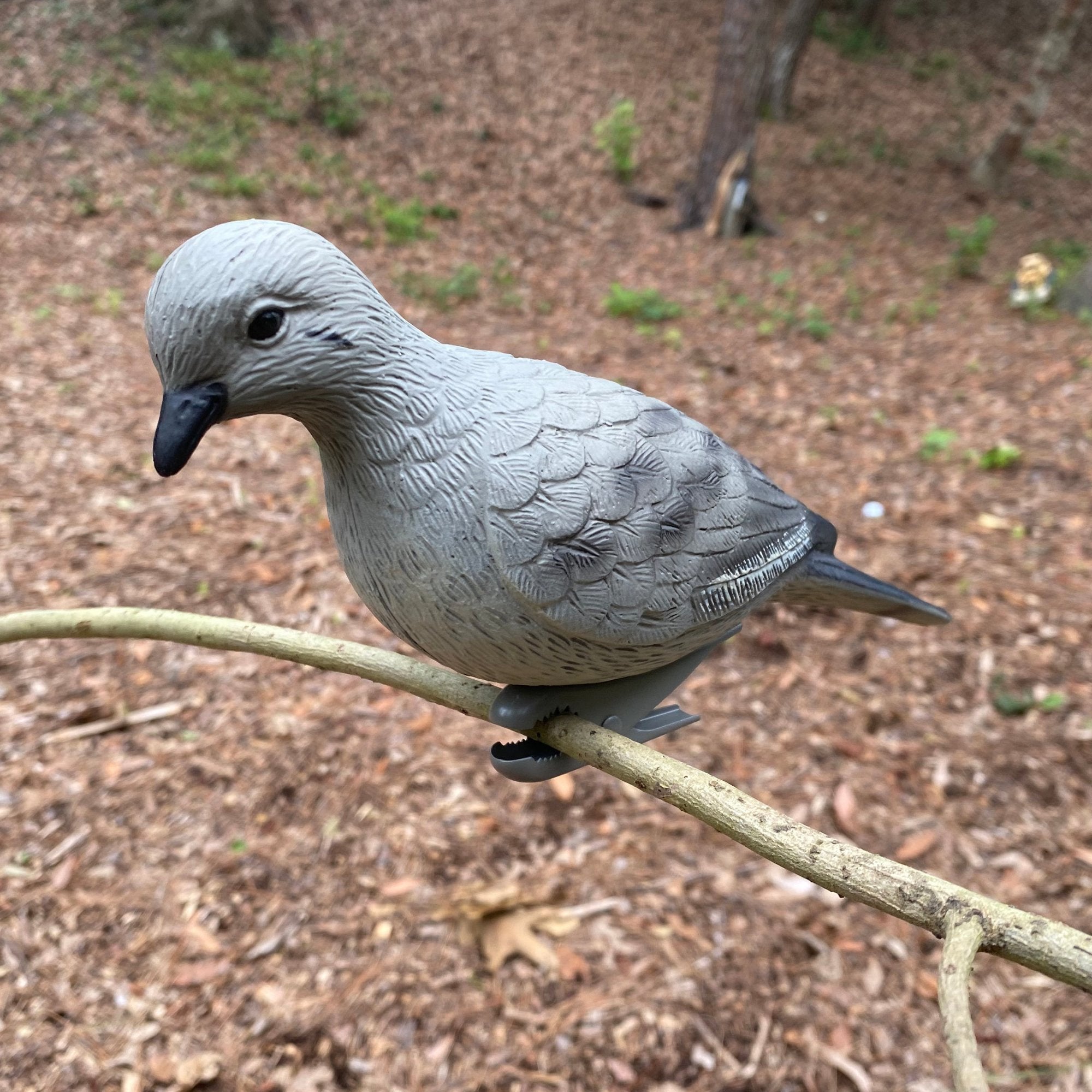 HQ Outfitters Dove decoy