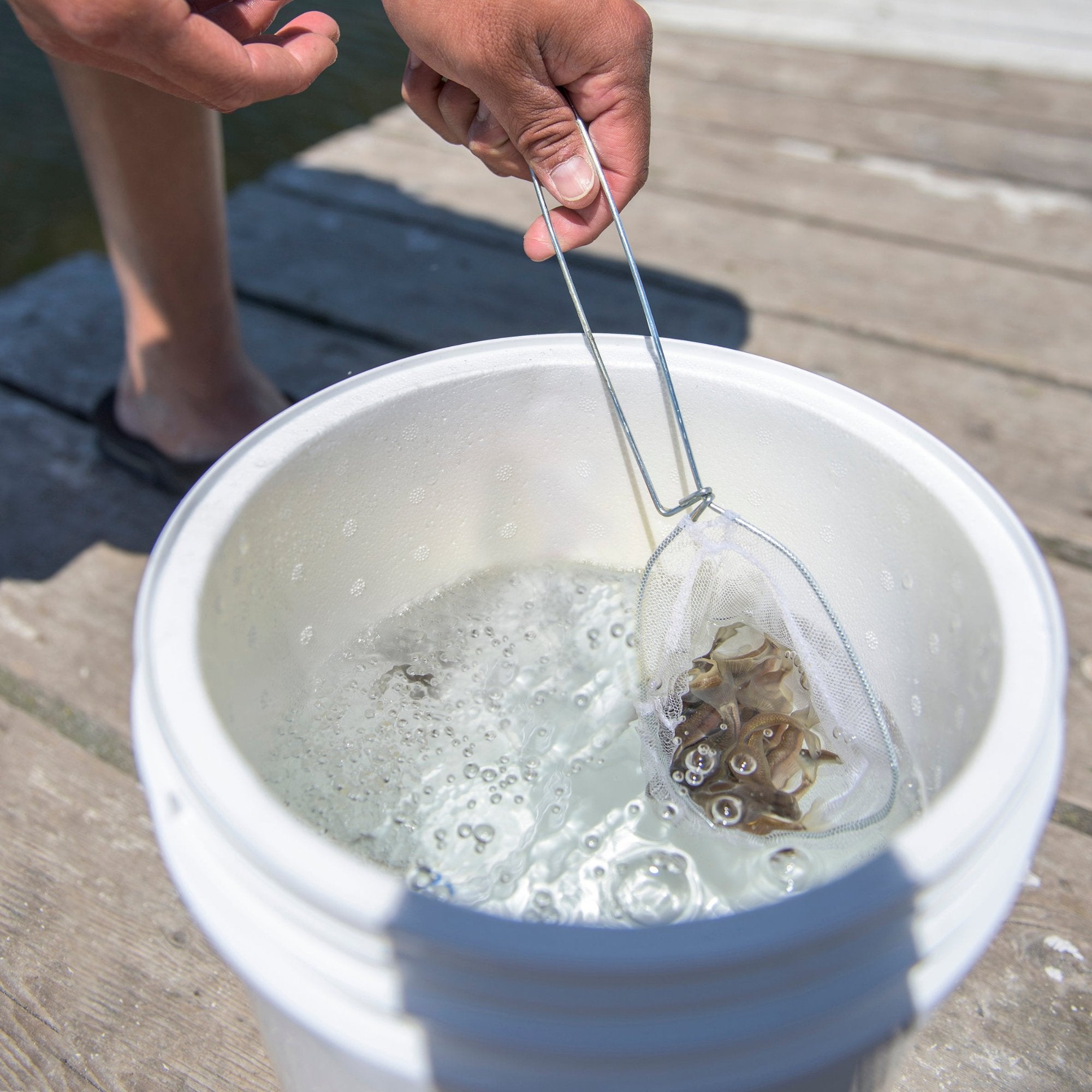 South Bend minnow bait net